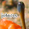 johnsee's avatar