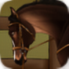 Joybird's avatar