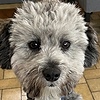 jpayne2023's avatar