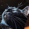 juliehammond's avatar