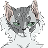 jun1perb3rry's avatar