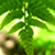 JustAmy500's avatar