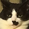 JustEuge's avatar