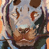 K0NIGWULF's avatar