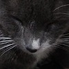 k4zum4634ss's avatar