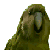kakapoplz's avatar