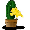 Kaktuskueken's avatar