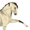Kaleopa's avatar