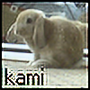 kami-no-kimi's avatar