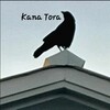 Kana-Tora's avatar