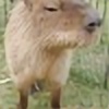 kapinon's avatar