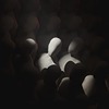 KarasuTN's avatar