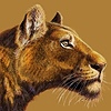 katilaie's avatar