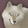 katstica's avatar