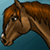 Kaydince-Legacy's avatar