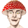 Kazdeviant's avatar