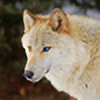 keeva-wolf's avatar