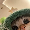 kefiyo's avatar