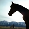 Kelzyra-HorseStock's avatar