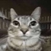 KennySupinpa's avatar