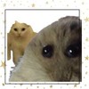 kermitketchup18's avatar