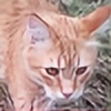 Kestrelflare's avatar