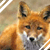 Kevin-Fox's avatar