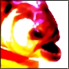 killer-serrasalmus's avatar
