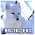 KiloFox's avatar