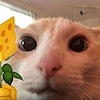 Kiminovva's avatar