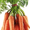 kinda-carrot's avatar