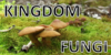 Kingdom-Fungi's avatar