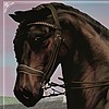 KingKitsuneStables's avatar
