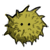 kingmelon's avatar