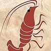 kiramotion's avatar