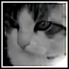 kirane's avatar