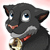 KisuCat's avatar