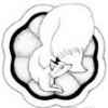 kitsunehoruri's avatar