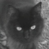 Kitten-Mitten's avatar