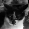 kittenforever's avatar