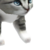 kittenfourplz's avatar