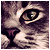 kittenGaaralover's avatar