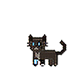 kittenpasta's avatar