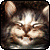 KittenSmilePlz's avatar