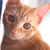 kittensqueeze's avatar