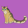 kitty-camera's avatar