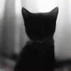 kitty-in-snow's avatar