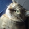 Kitty-Loves-Dave's avatar