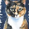 Kitty-Onesie's avatar