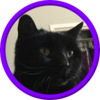 Kitty-Reid's avatar